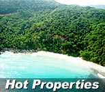 Hot Properties